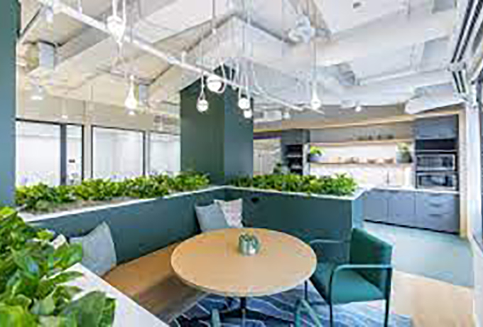 A kitchen/communal area with lots of plants